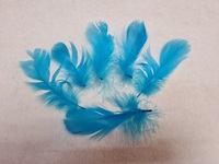 Перо лебедя PL5-13-16-10шт (синий)