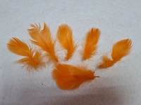 Перо лебедя PL5-13-31-10шт (оранжевый)