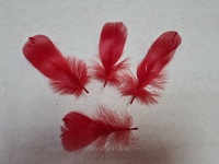 Перо лебедя PL5-13-4-10шт (красный)